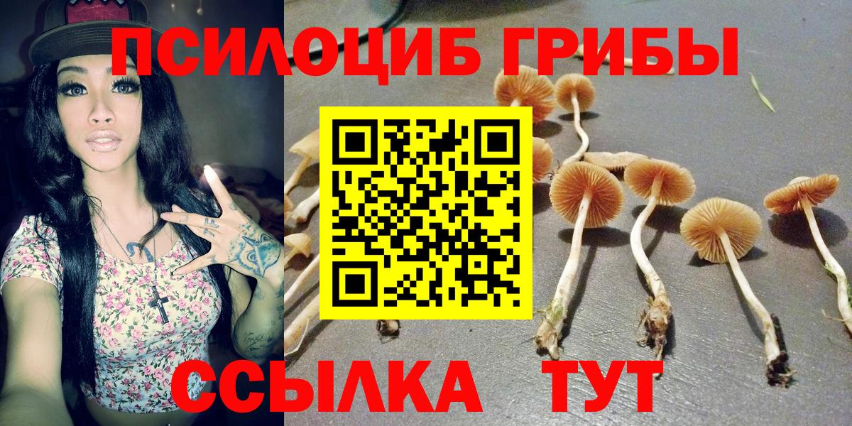 Галлюциногенные грибы прущие грибы  Вход с VPN  Петрозаводск 