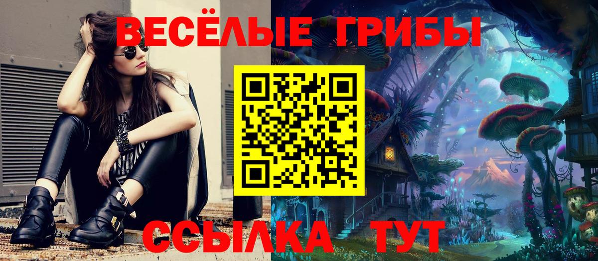 Галлюциногенные грибы Psilocybine cubensis Петрозаводск